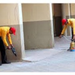 Saar Pest Control Services Lajpat Nagar