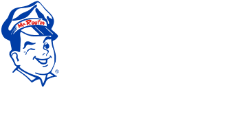 Expert Plumbing Services | mr.rooter